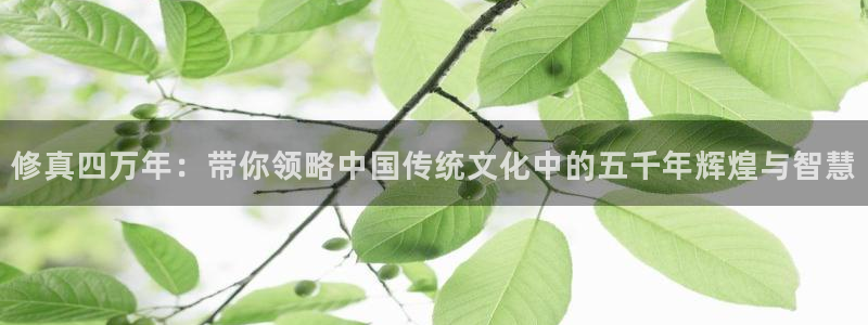 酷漫屋官方app下载：修真四万年：带你领略中国传统文化中的五千年辉煌与智慧